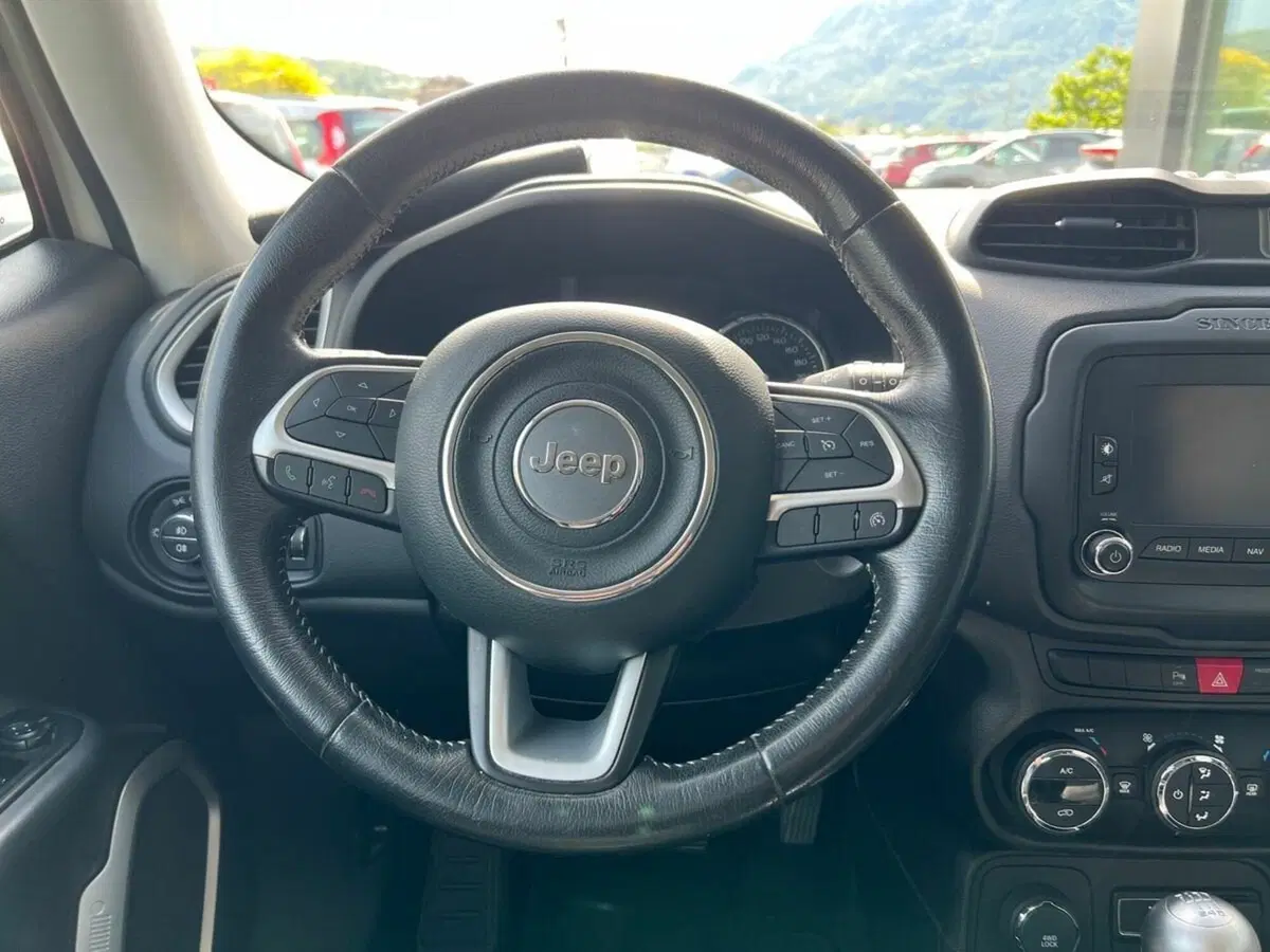 Jeep Renegade usata a Sondrio (15)