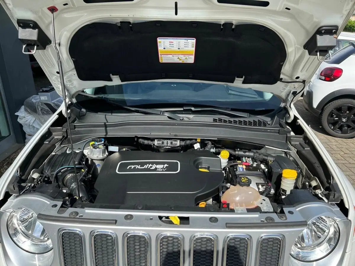 Jeep Renegade usata a Sondrio (16)