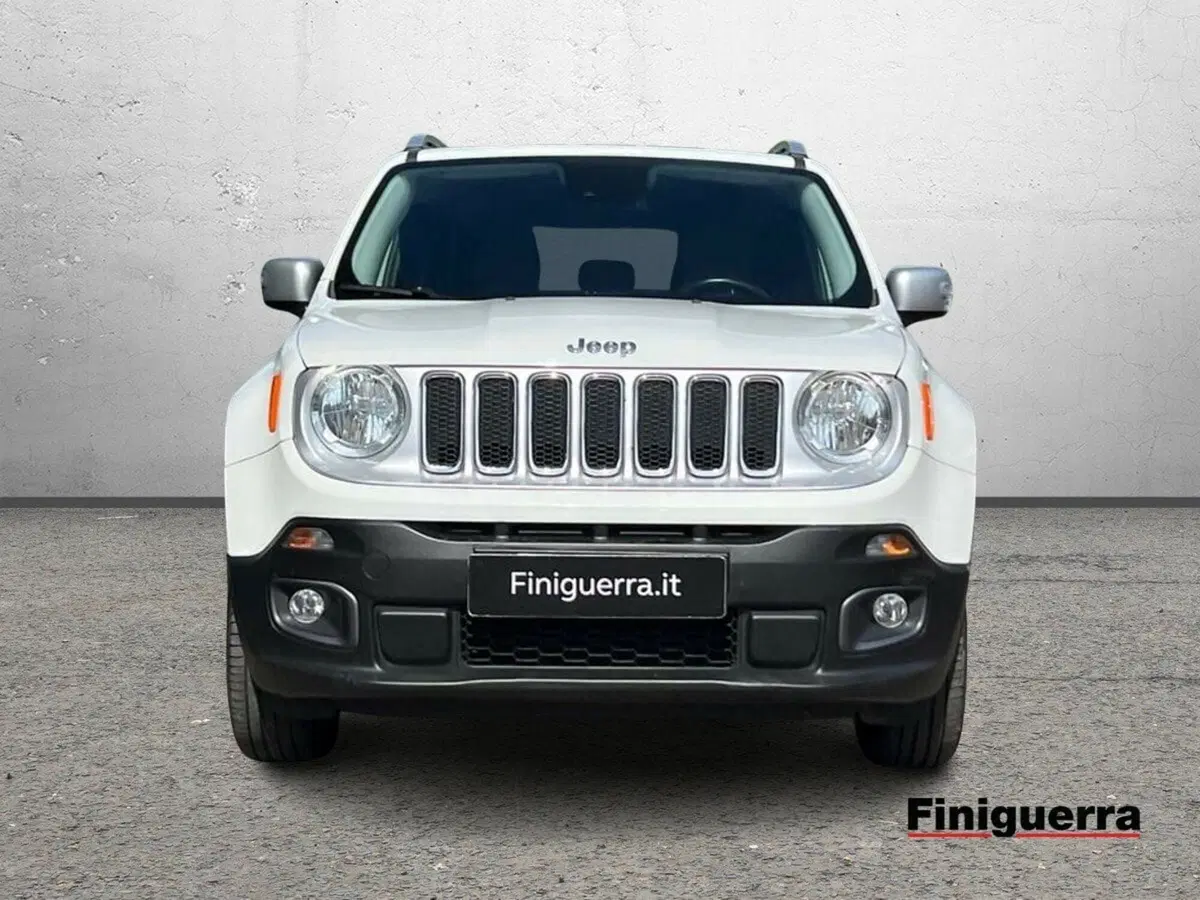 Jeep Renegade usata a Sondrio (2)