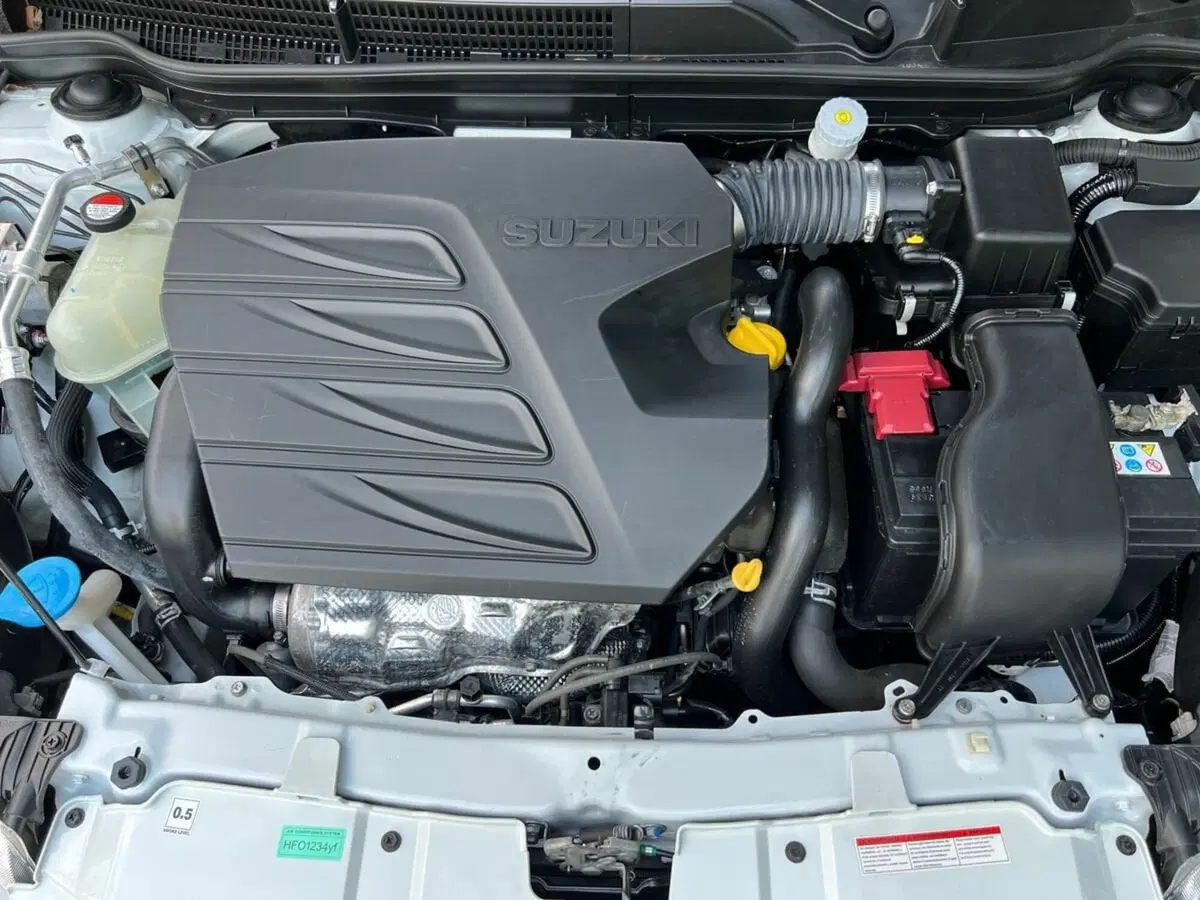 Suzuki S-Cross usata a Sondrio (15)