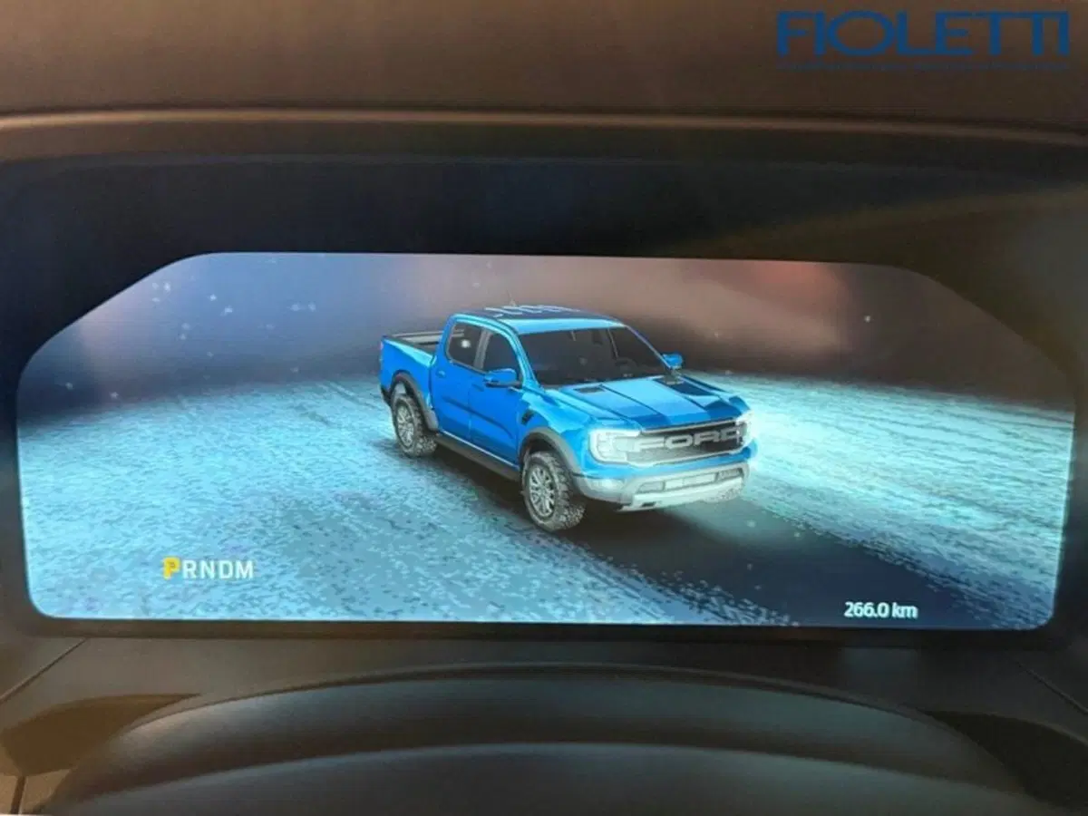 Ford Ranger Pick-up usata a Brescia (8)