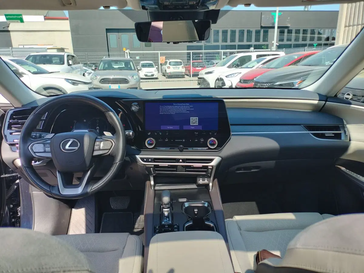 Lexus RX usata a Modena (11)