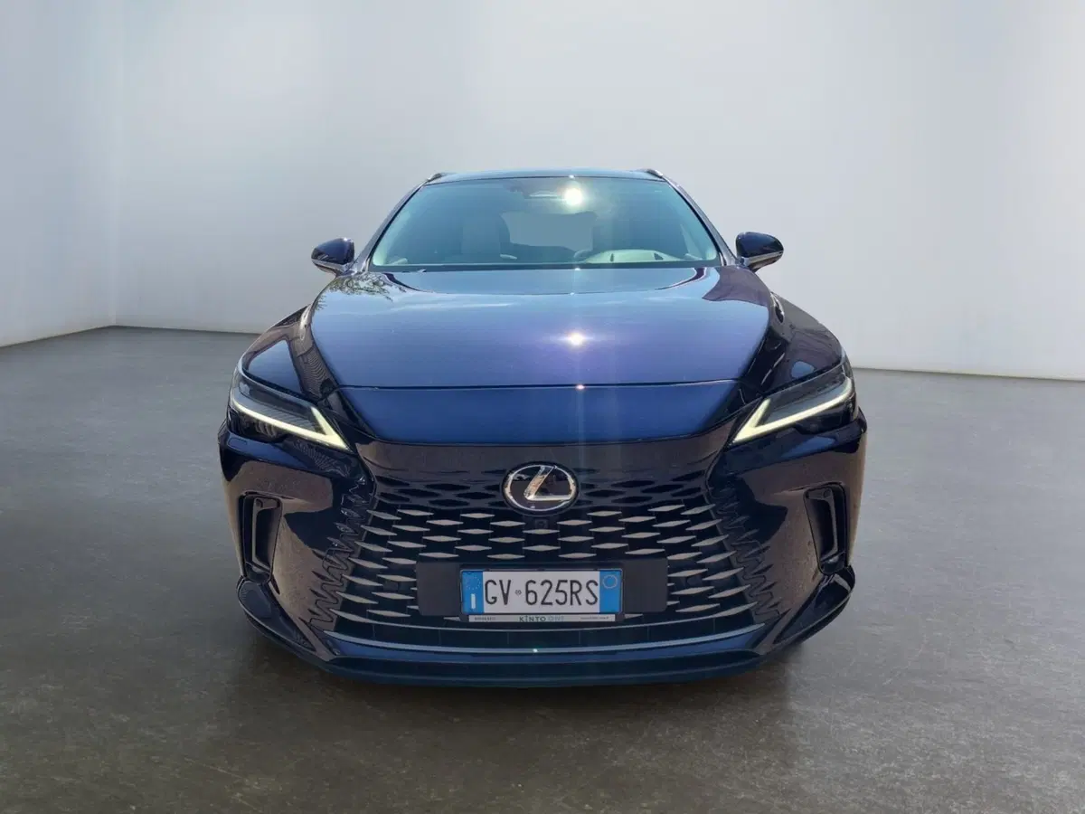 Lexus RX usata a Modena (2)