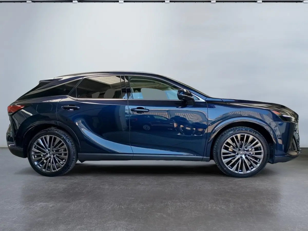 Lexus RX usata a Modena (4)