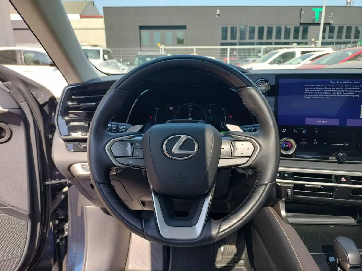 Lexus RX usata a Modena (7)
