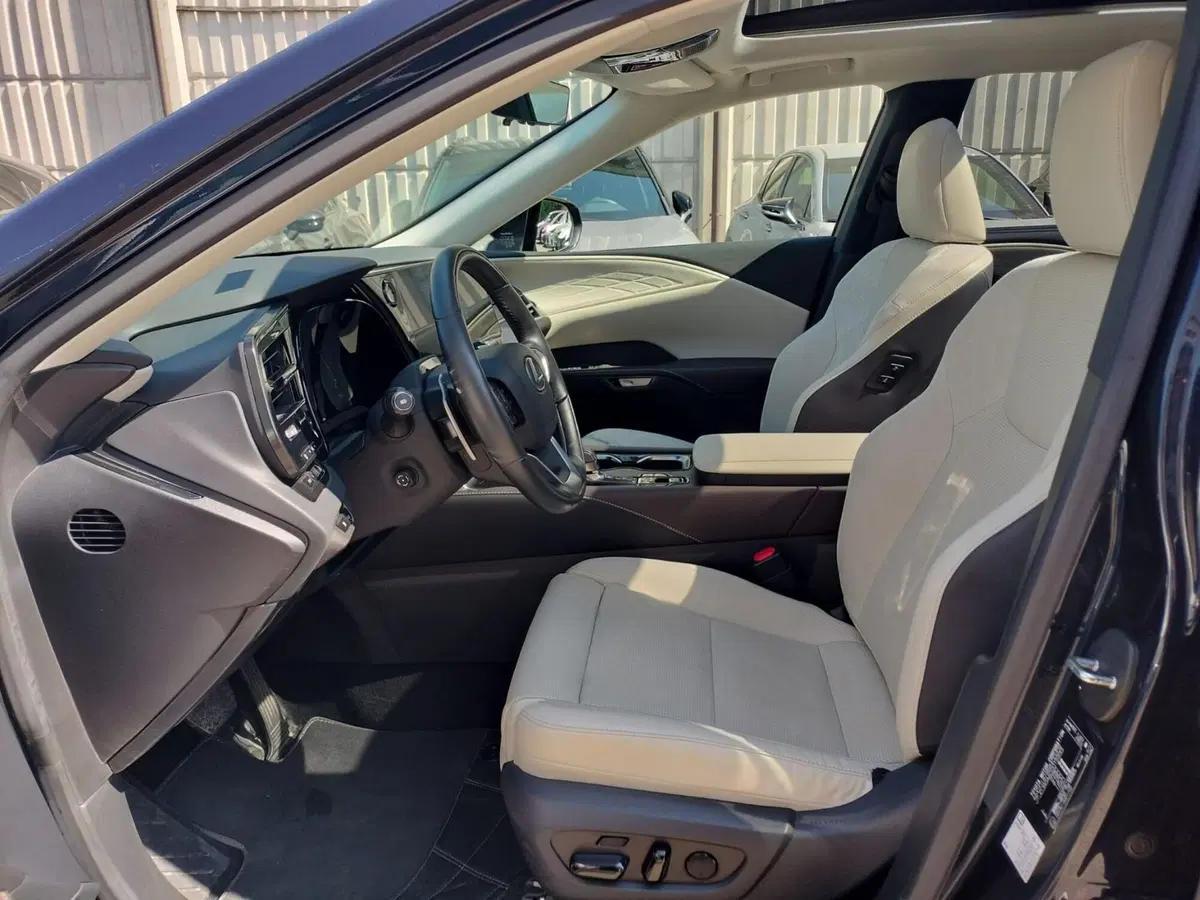 Lexus RX usata a Modena (9)