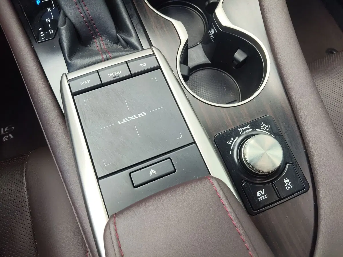 Lexus RX usata a Modena (13)