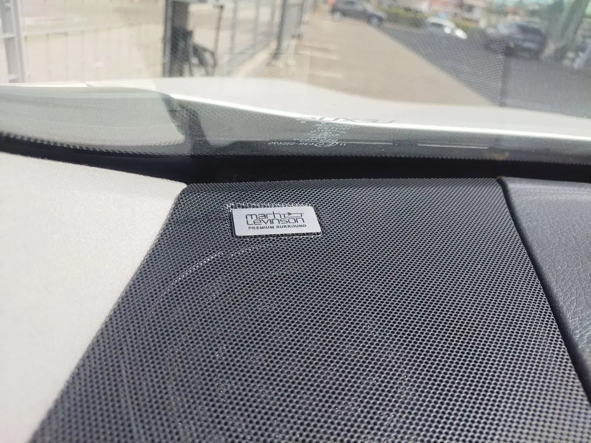 Lexus RX usata a Modena (20)