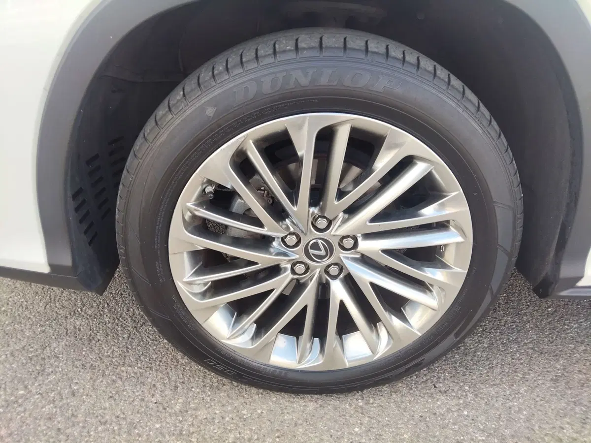 Lexus RX usata a Modena (6)