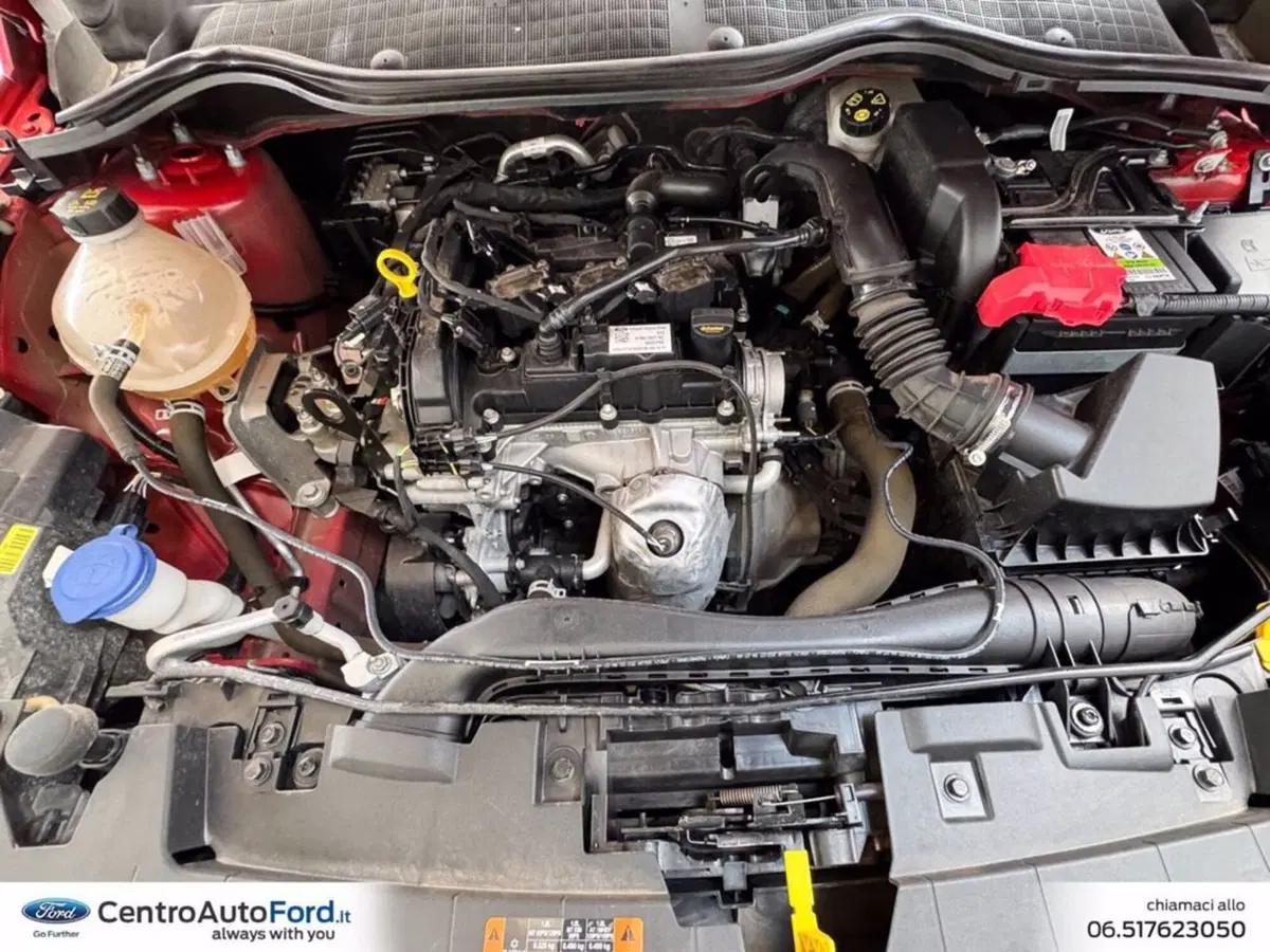 Ford Fiesta usata a Roma (11)