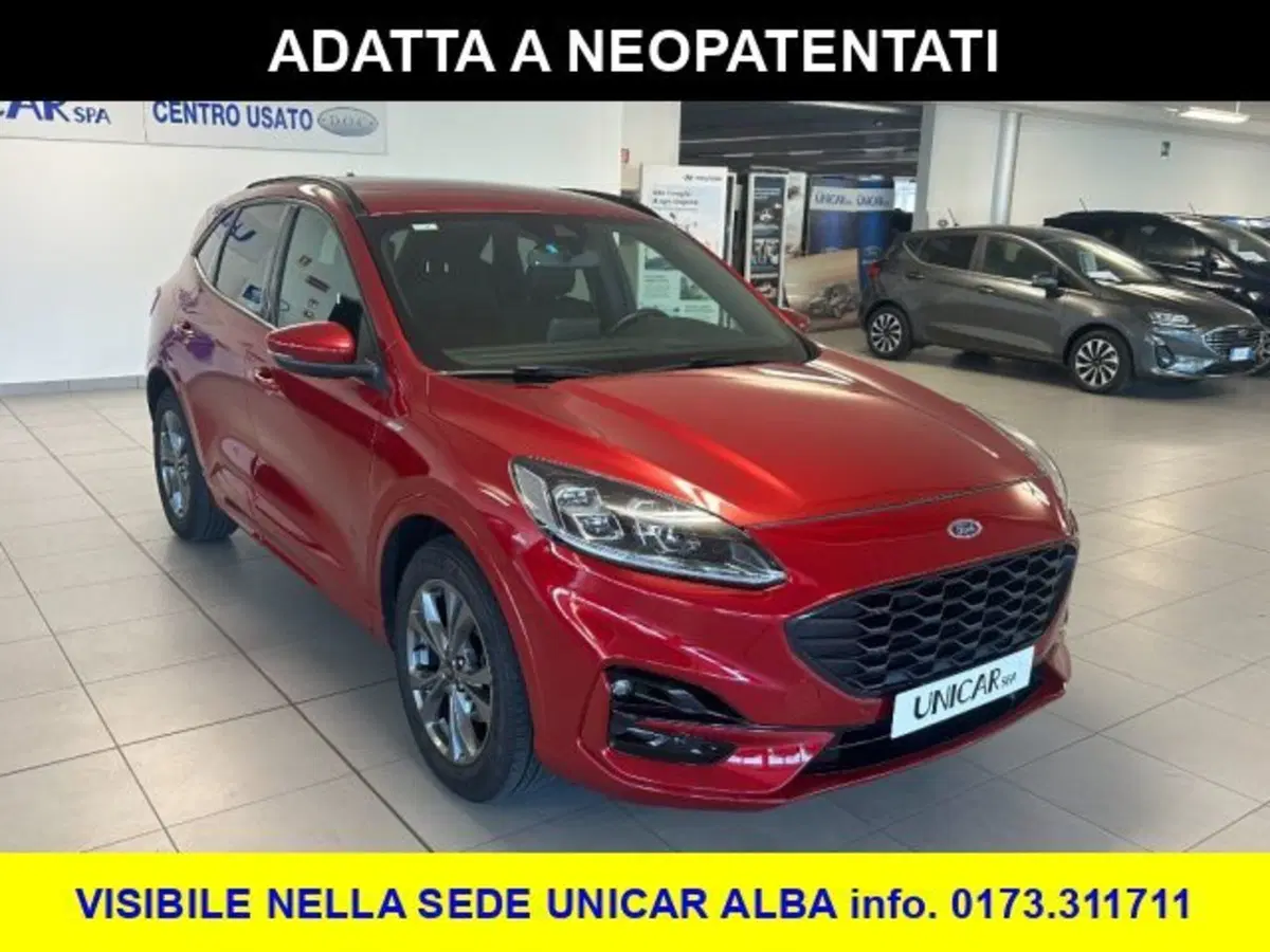 Ford Kuga usata a Cuneo (3)