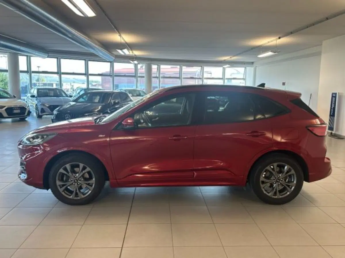 Ford Kuga usata a Cuneo (4)
