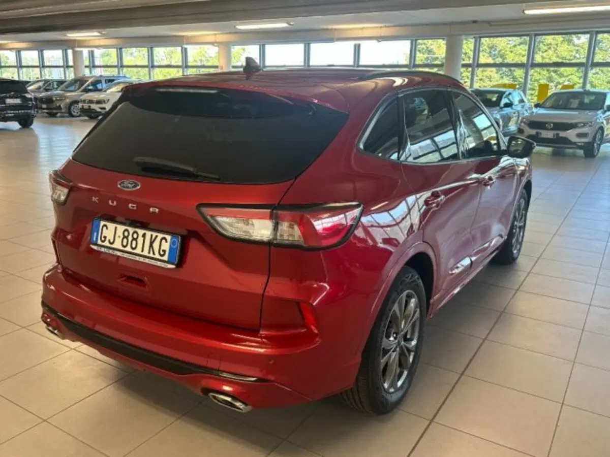 Ford Kuga usata a Cuneo (7)