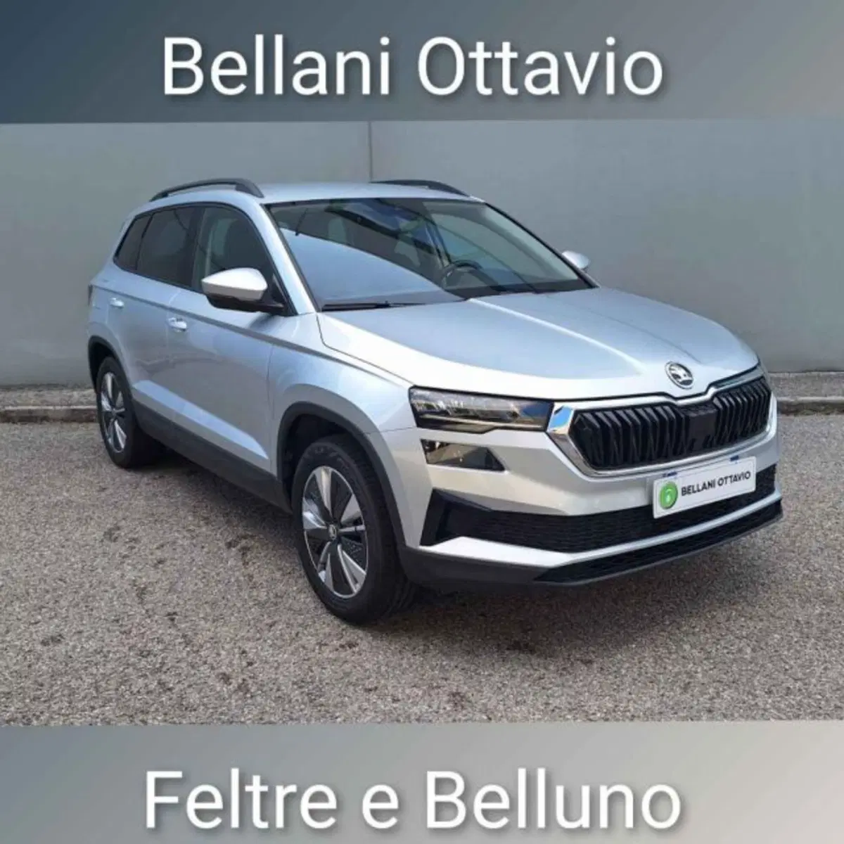 Skoda Karoq usata a Belluno