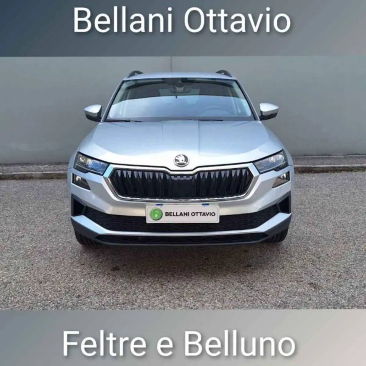 Skoda Karoq usata a Belluno (2)