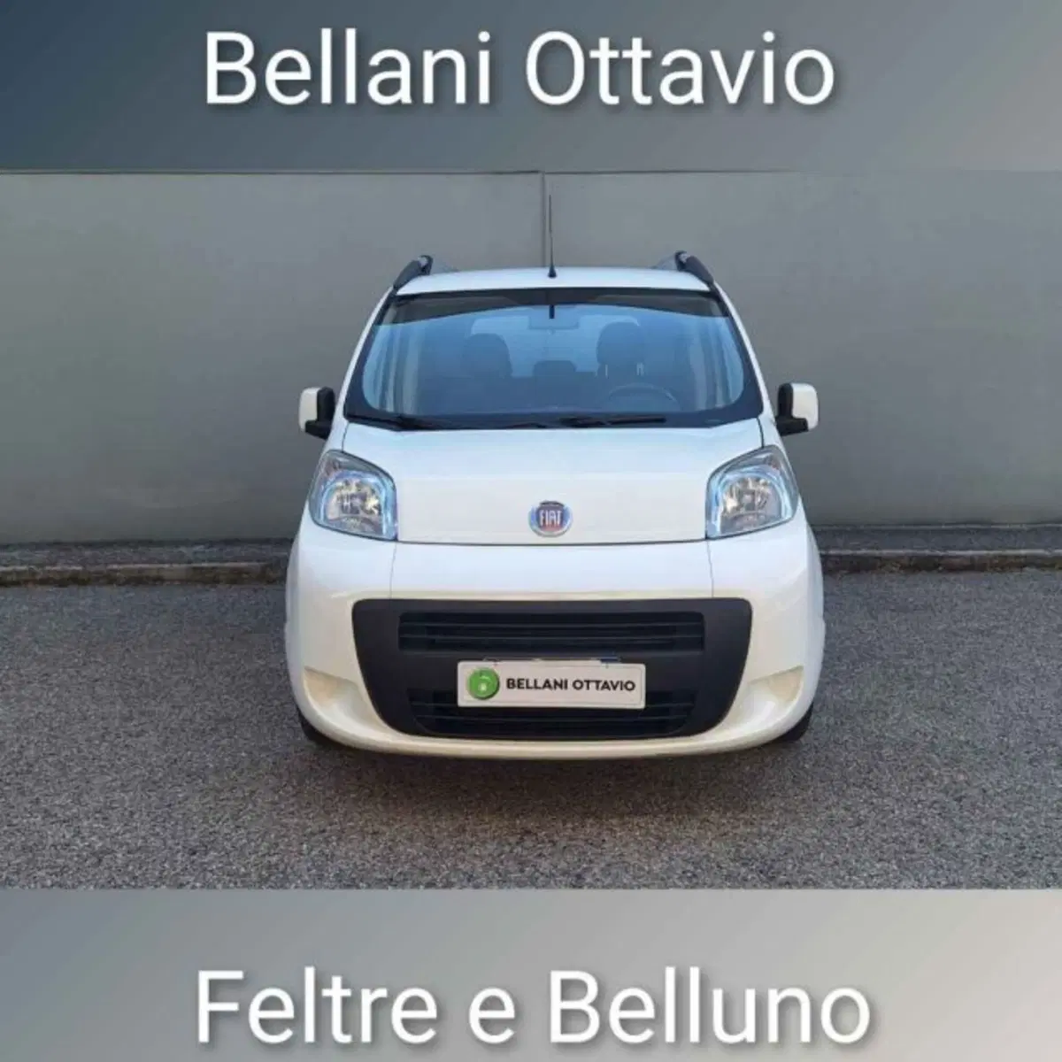 Fiat Qubo usata a Belluno (2)