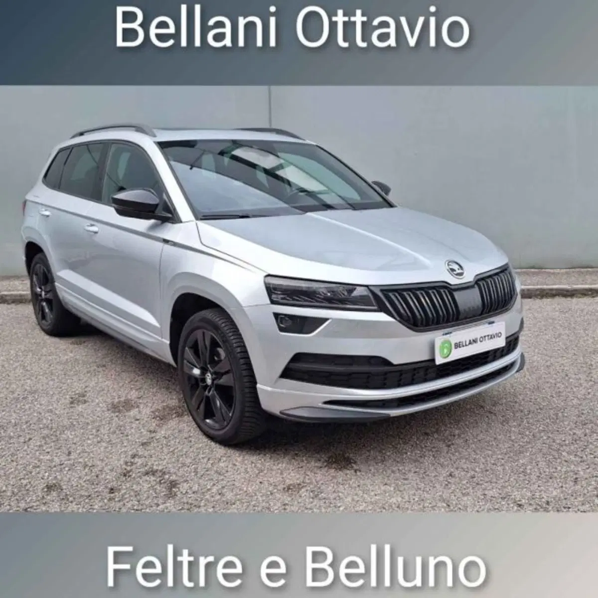 Skoda Karoq usata a Belluno