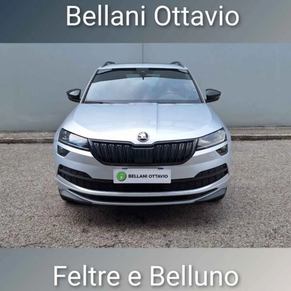 Skoda Karoq usata a Belluno (2)