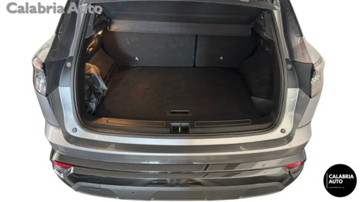 Renault Austral usata a Reggio Calabria (5)