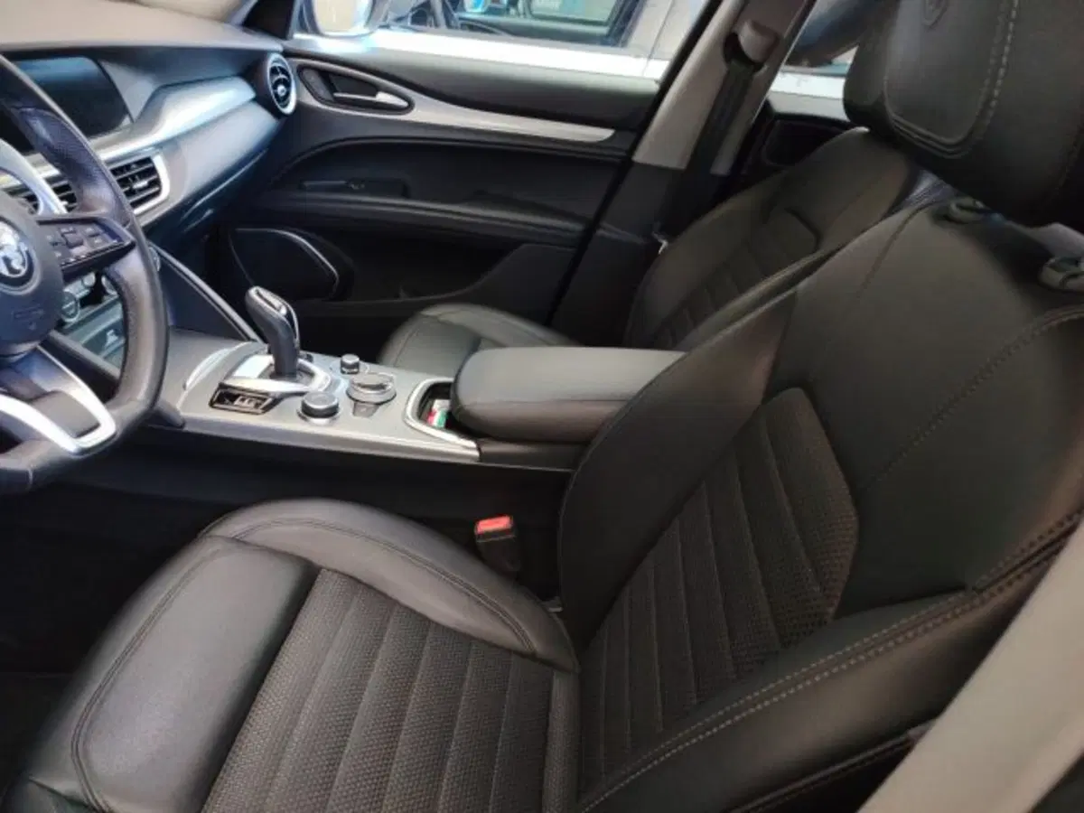 Alfa Romeo Stelvio usata a Forlì-Cesena (11)