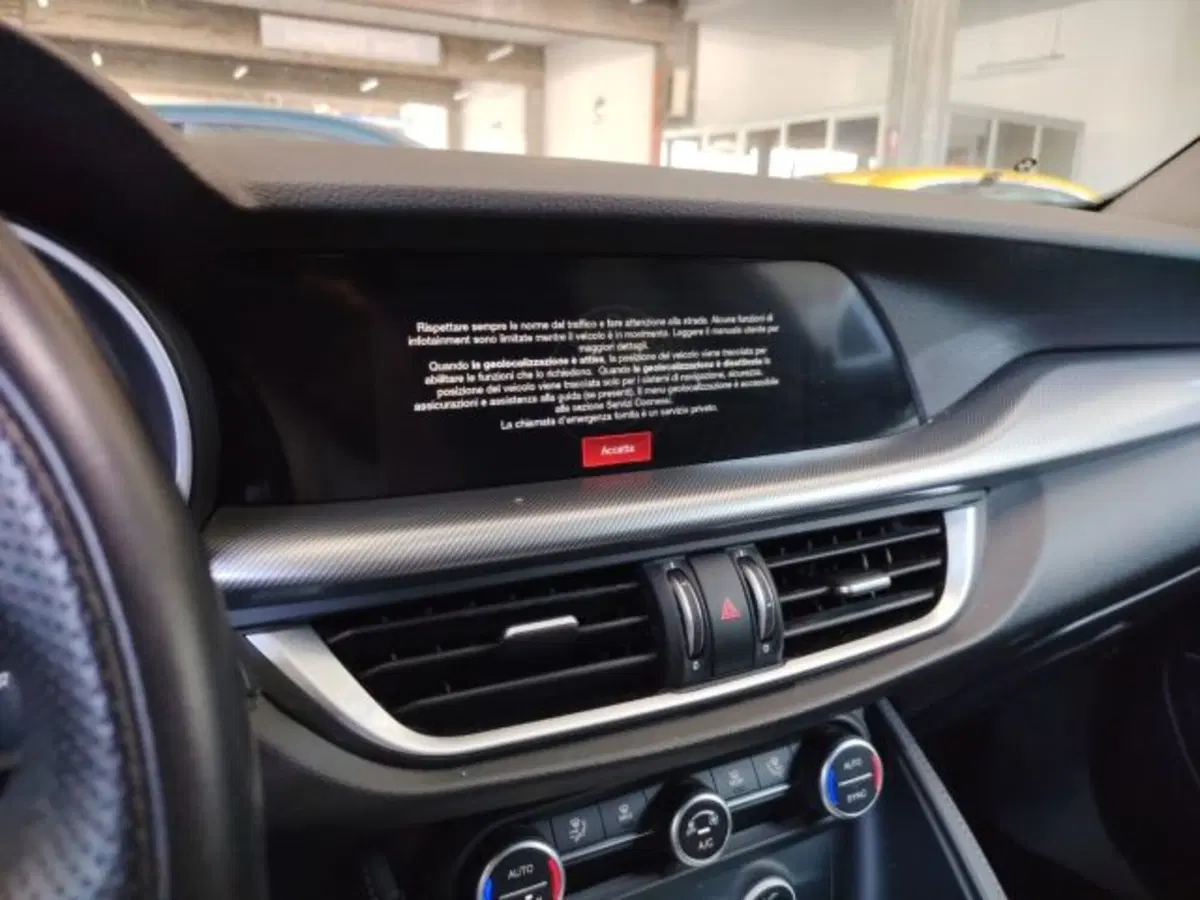 Alfa Romeo Stelvio usata a Forlì-Cesena (15)