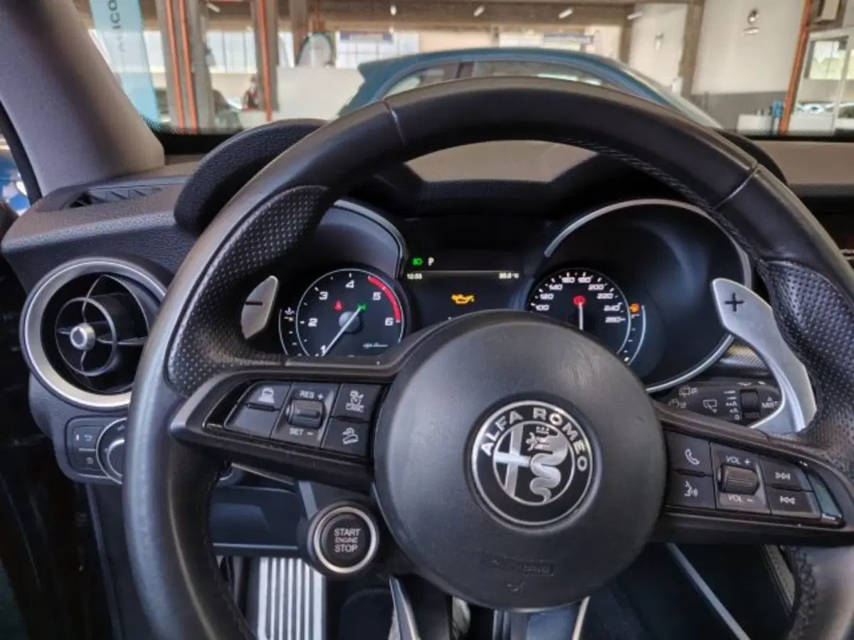 Alfa Romeo Stelvio usata a Forlì-Cesena (16)