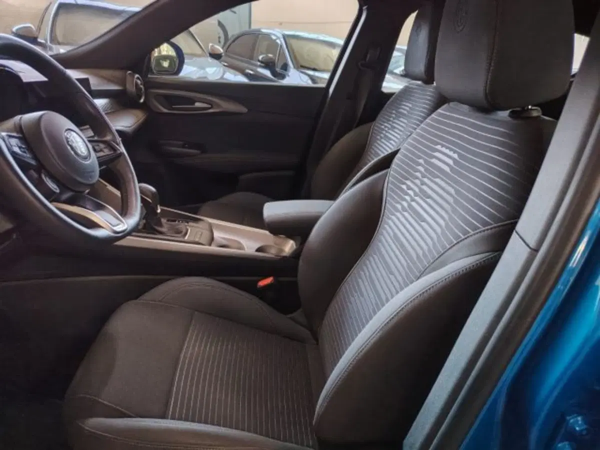 Alfa Romeo Tonale usata a Forlì-Cesena (12)