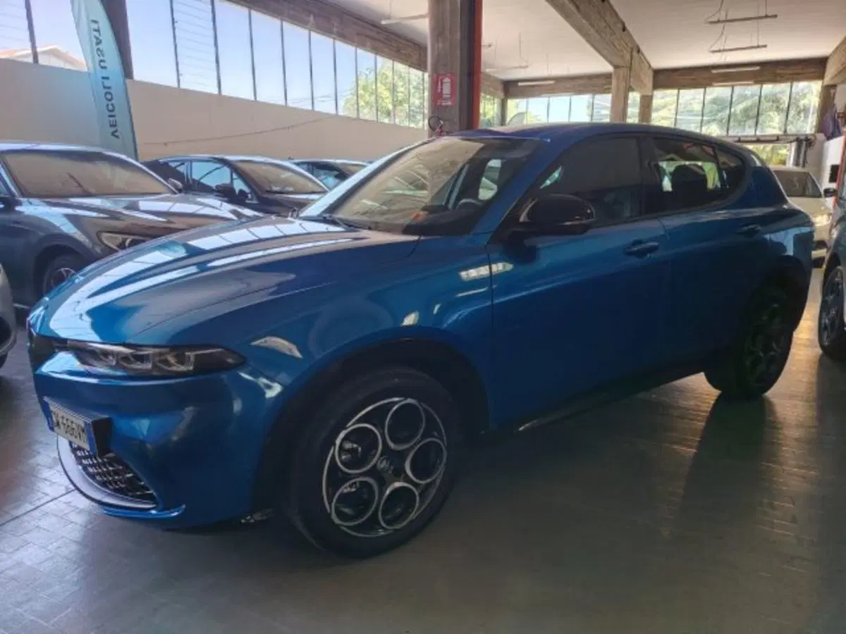 Alfa Romeo Tonale usata a Forlì-Cesena (5)