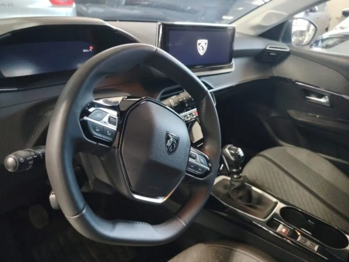 Peugeot 208 usata a Forlì-Cesena (17)