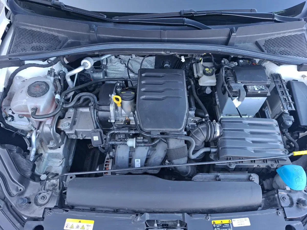 Skoda Fabia usata a Ancona (13)