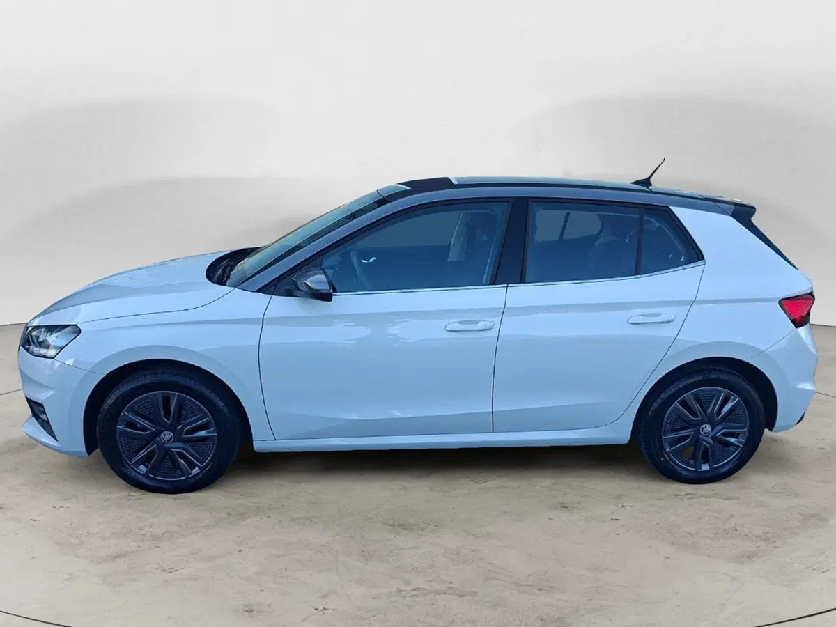 Skoda Fabia usata a Ancona (2)