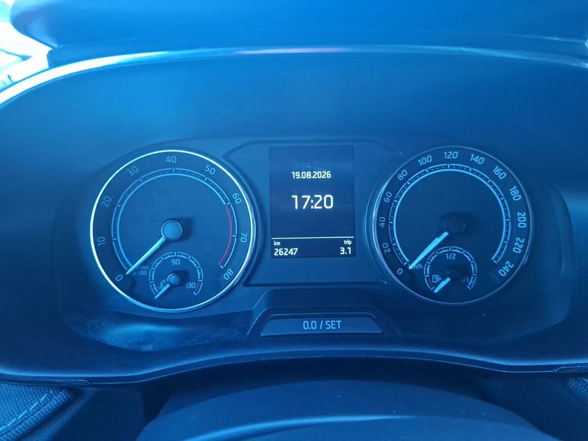 Skoda Fabia usata a Ancona (20)