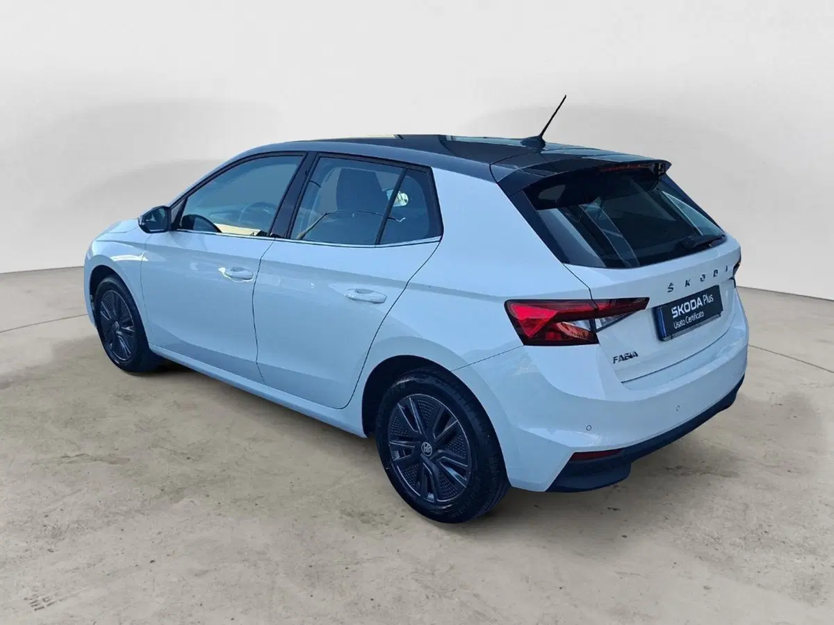 Skoda Fabia usata a Ancona (3)