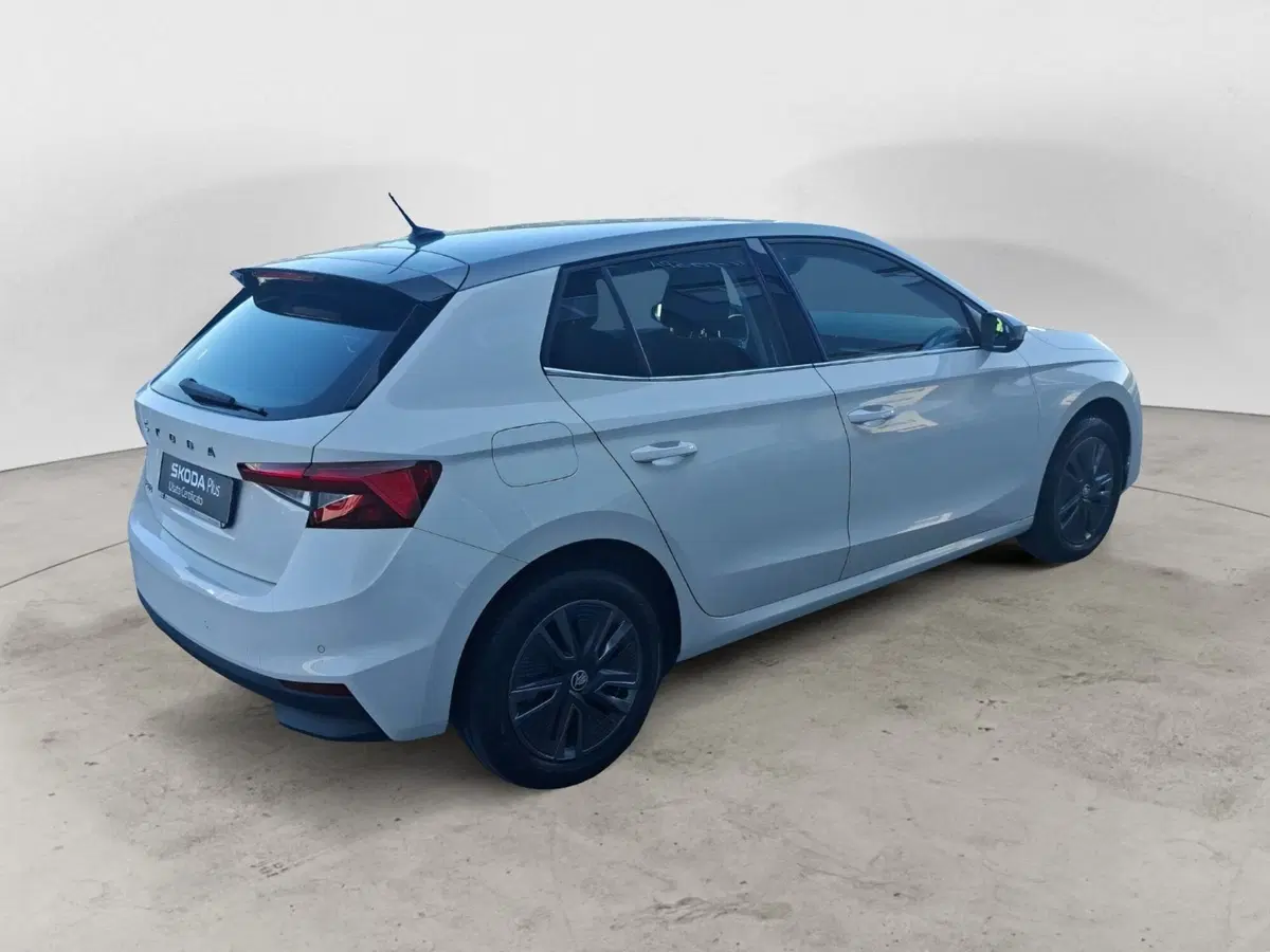 Skoda Fabia usata a Ancona (5)