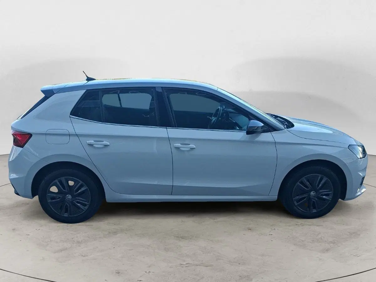 Skoda Fabia usata a Ancona (6)