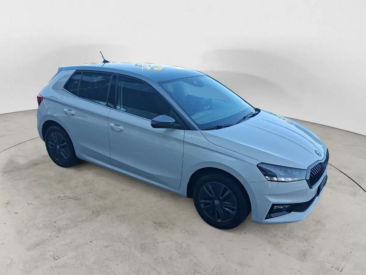 Skoda Fabia usata a Ancona (7)