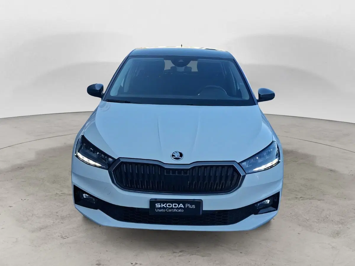 Skoda Fabia usata a Ancona (8)