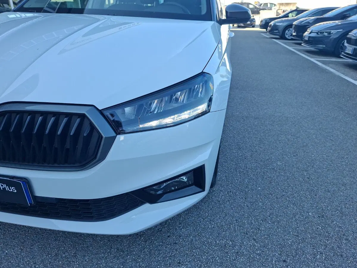 Skoda Fabia usata a Ancona (9)