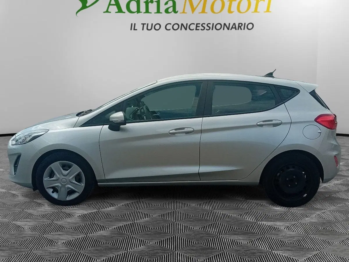 Ford Fiesta usata a Pordenone (2)