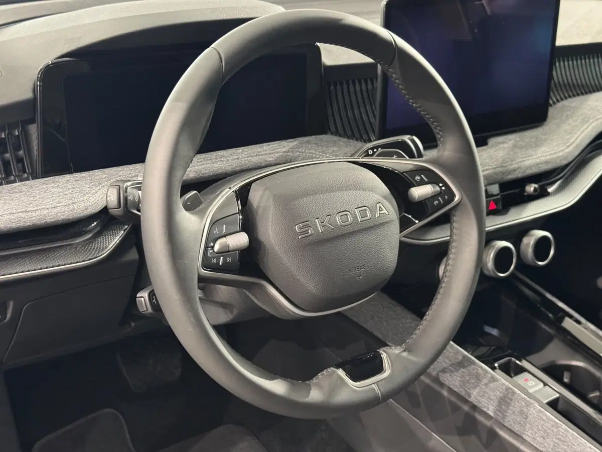 Skoda Superb usata a Varese (11)