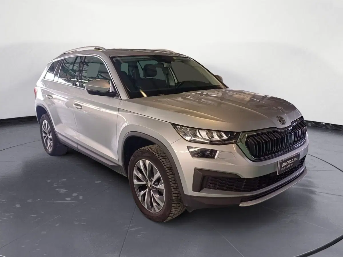 Skoda Kodiaq usata a Reggio Calabria (3)
