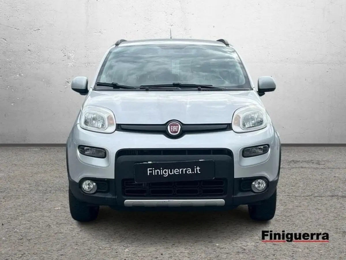Fiat Panda usata a Sondrio (2)