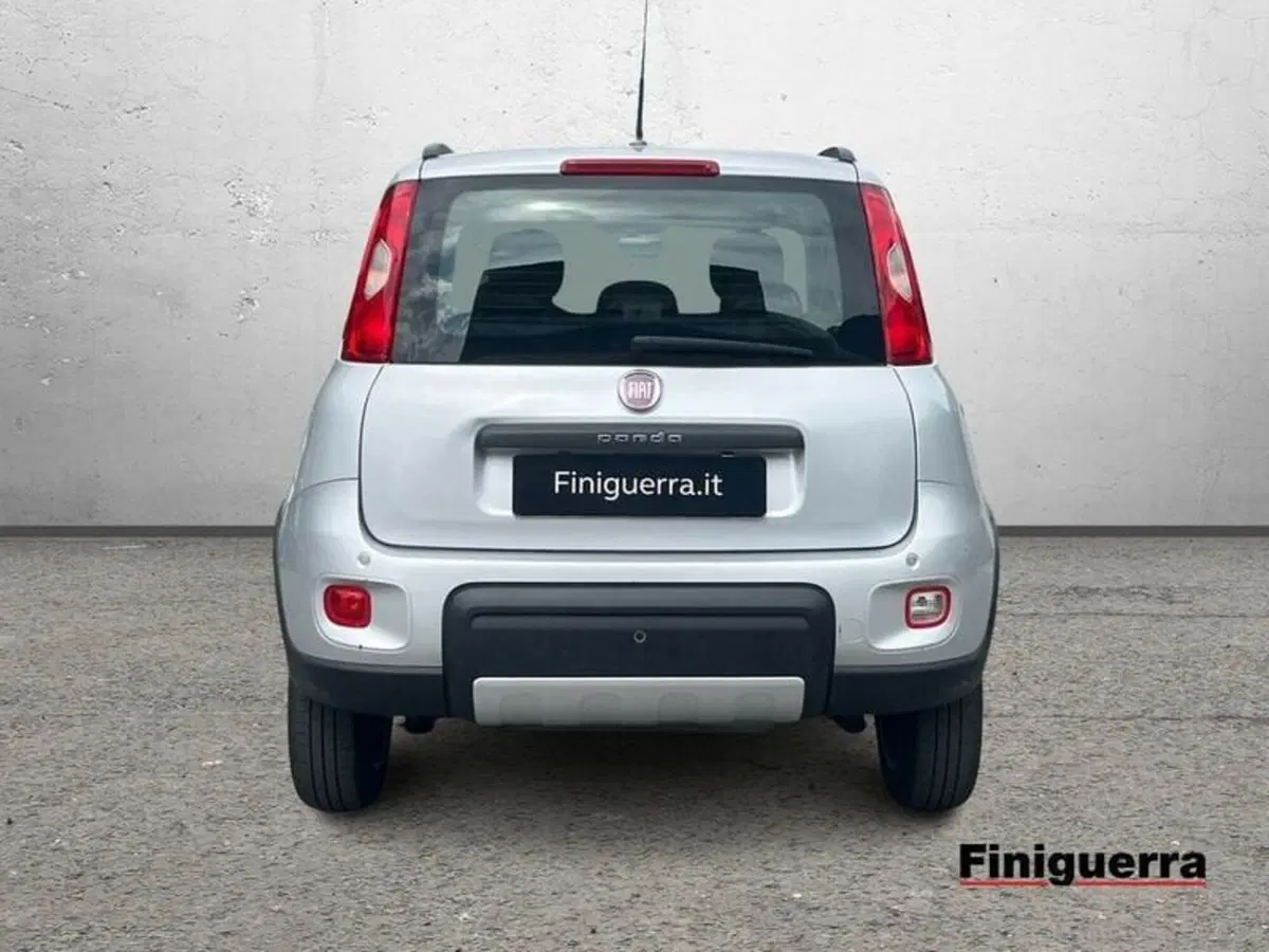 Fiat Panda usata a Sondrio (3)