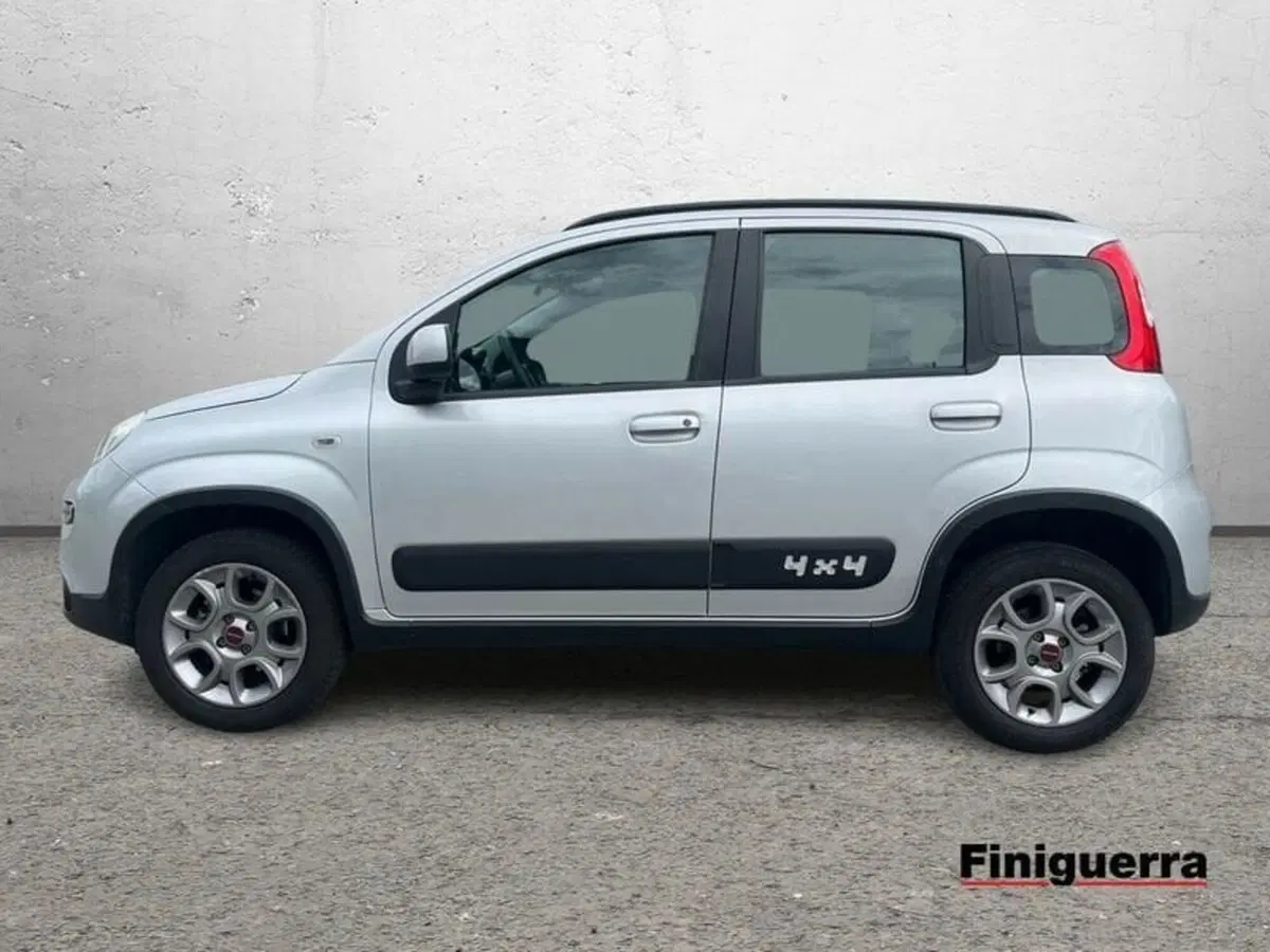 Fiat Panda usata a Sondrio (6)