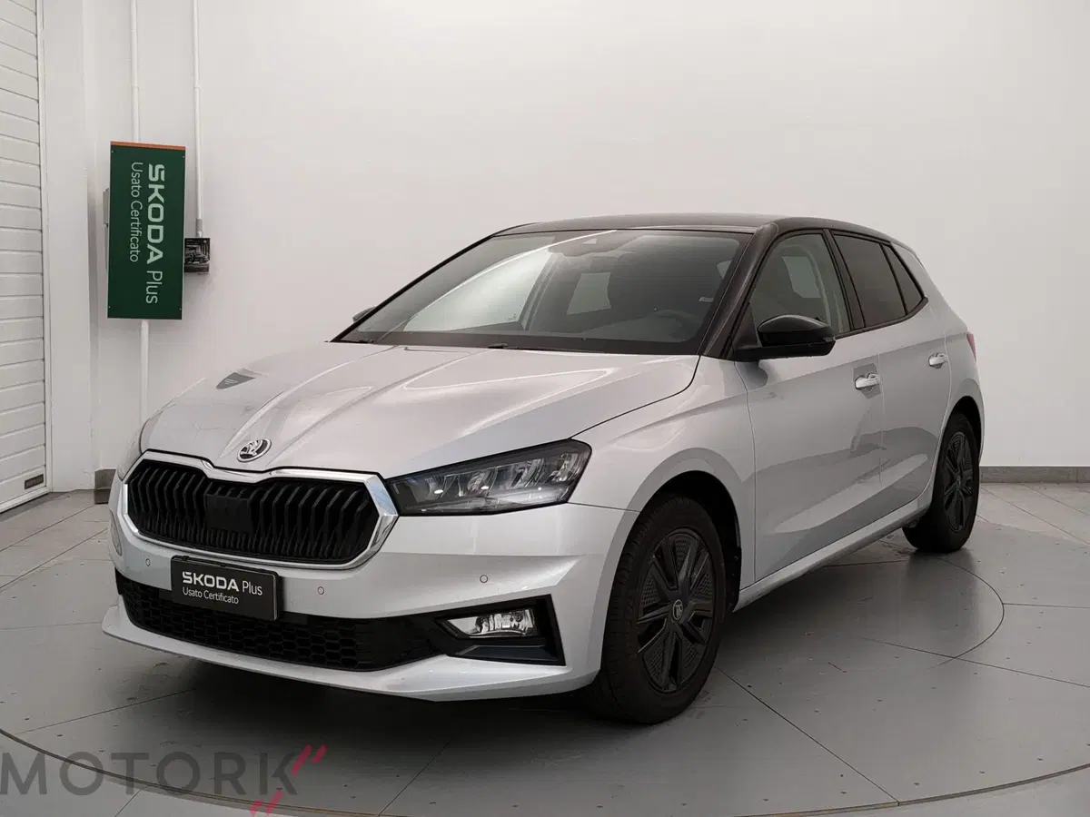 Skoda Fabia usata a Varese