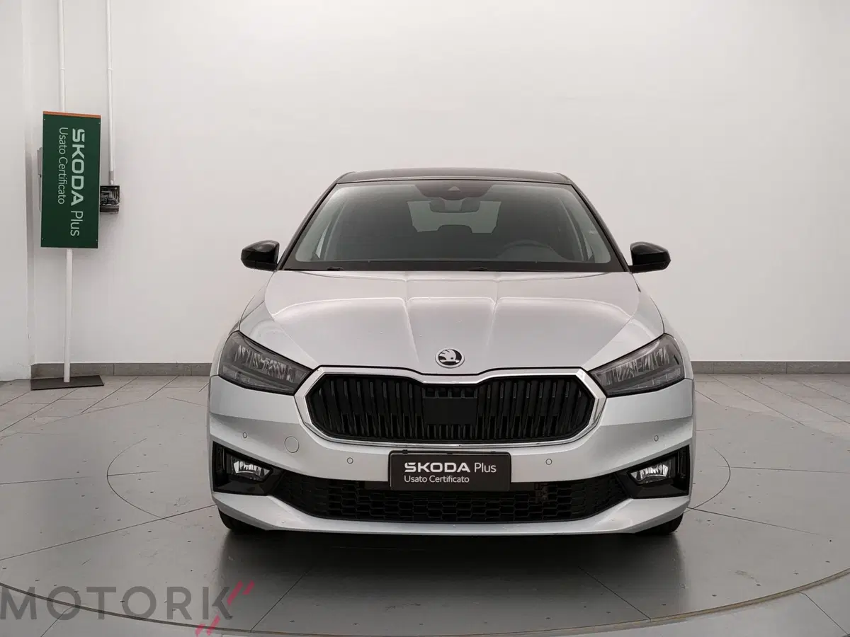 Skoda Fabia usata a Varese (2)