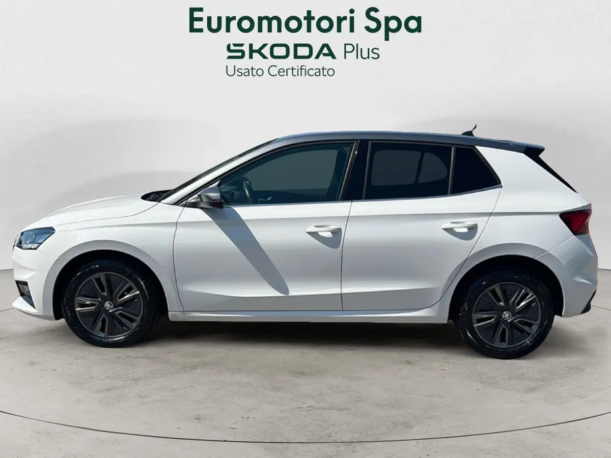 Skoda Fabia usata a Grosseto (2)