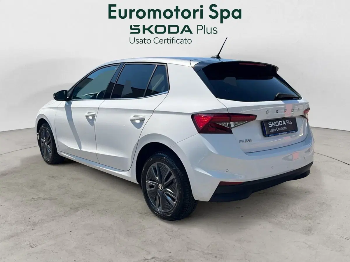 Skoda Fabia usata a Grosseto (3)