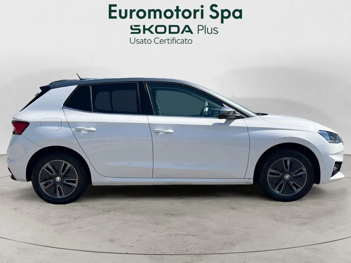 Skoda Fabia usata a Grosseto (6)