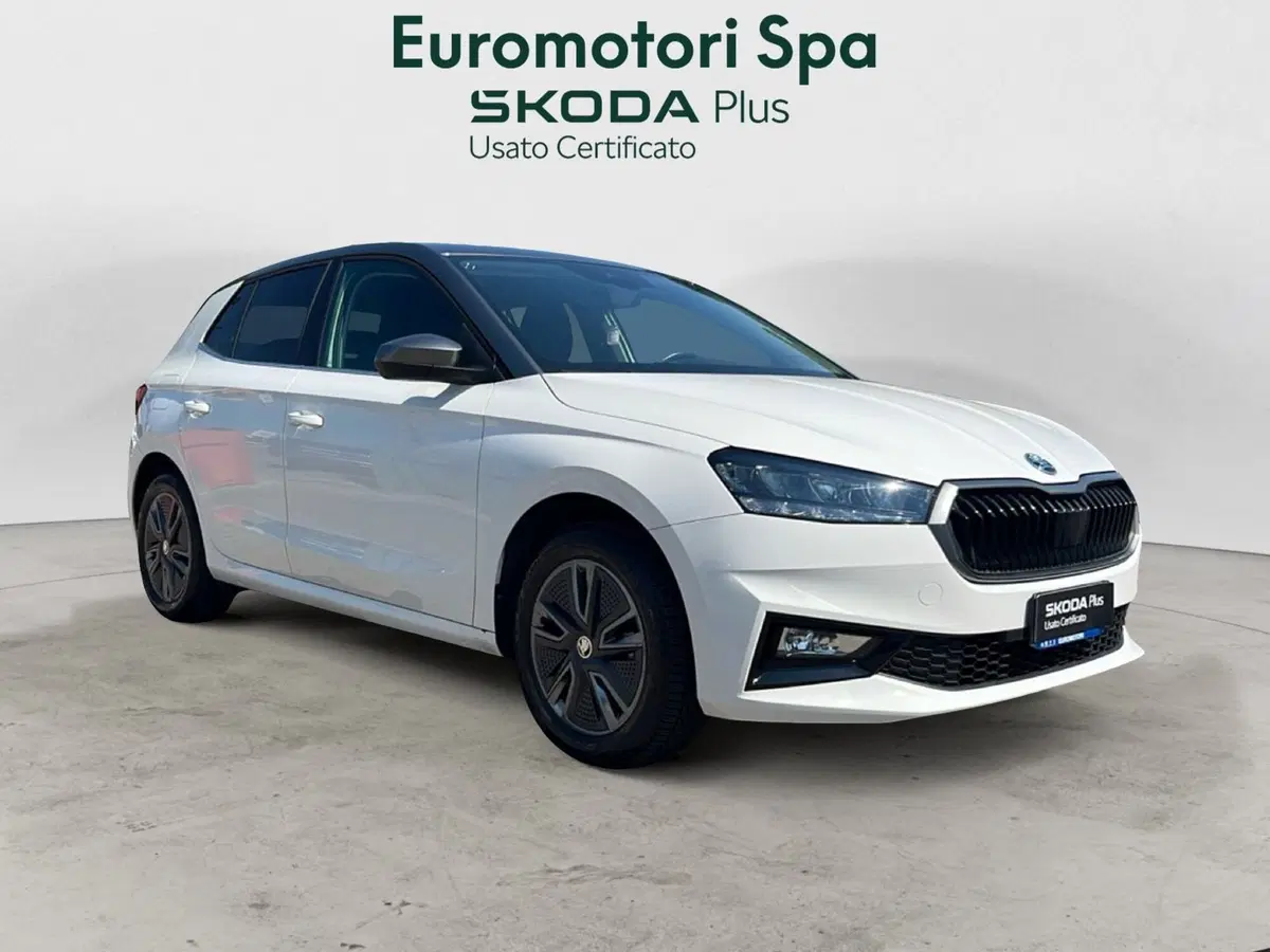 Skoda Fabia usata a Grosseto (7)